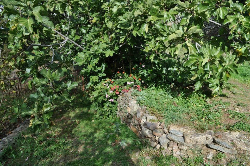 Tonara Mattaleヴィラ エクステリア 写真